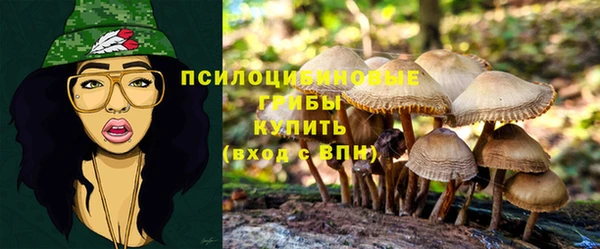 мдпв Балабаново