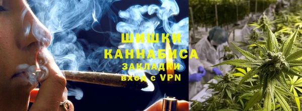 молекула духа Аркадак