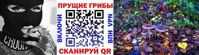 ссылка на мегу ONION  где купить наркоту  Миньяр  Псилоцибиновые грибы Psilocybe 